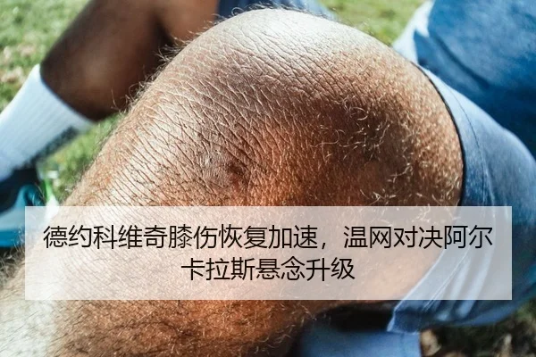 德约科维奇膝伤恢复加速，温网对决阿尔卡拉斯悬念升级