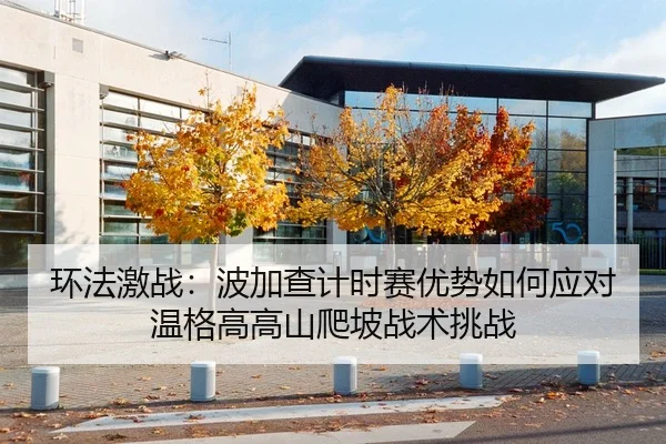 环法激战：波加查计时赛优势如何应对温格高高山爬坡战术挑战
