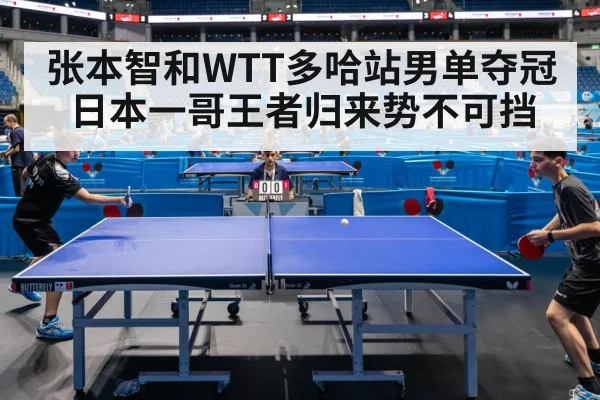 张本智和WTT多哈站男单夺冠 日本一哥王者归来势不可挡